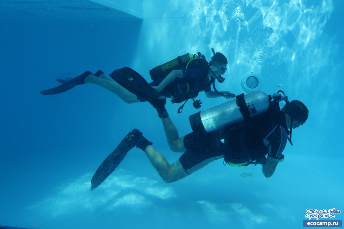 Спортсмен занимающийся дайвингом погрузился в воду 110. Крым впервые ныряю с аквалангом 2006. Ныряем с аквалангом АВМ-12. Почему аквалангисты ныряют спиной.
